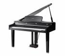 Цифровой рояль Kurzweil CGP220 W